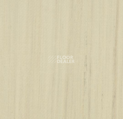 Кварцвиниловые полы Marmoleum Modular t3575 white cliffs фото 1 | FLOORDEALER